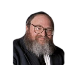 RABBI DR. YITZCHOK BREITOWITZ